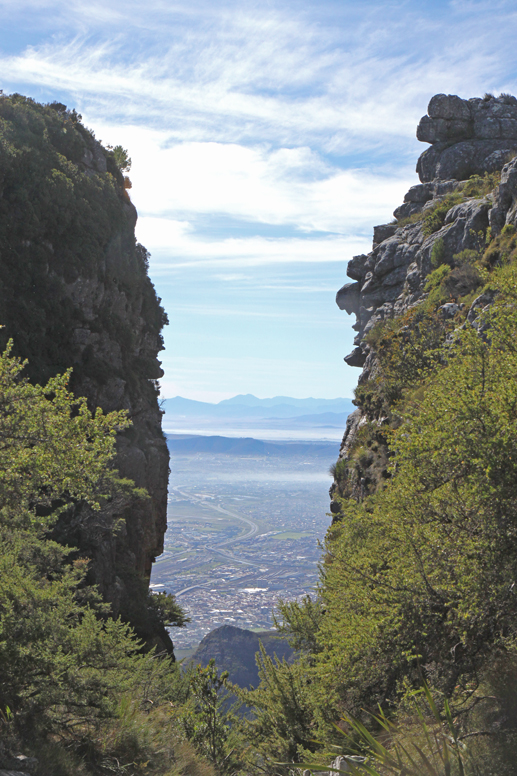 Table Mountain ravine